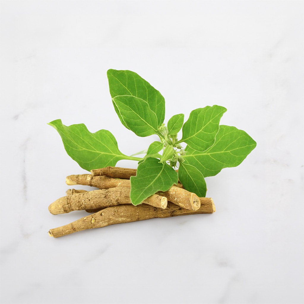 KSM-66® Ashwagandha