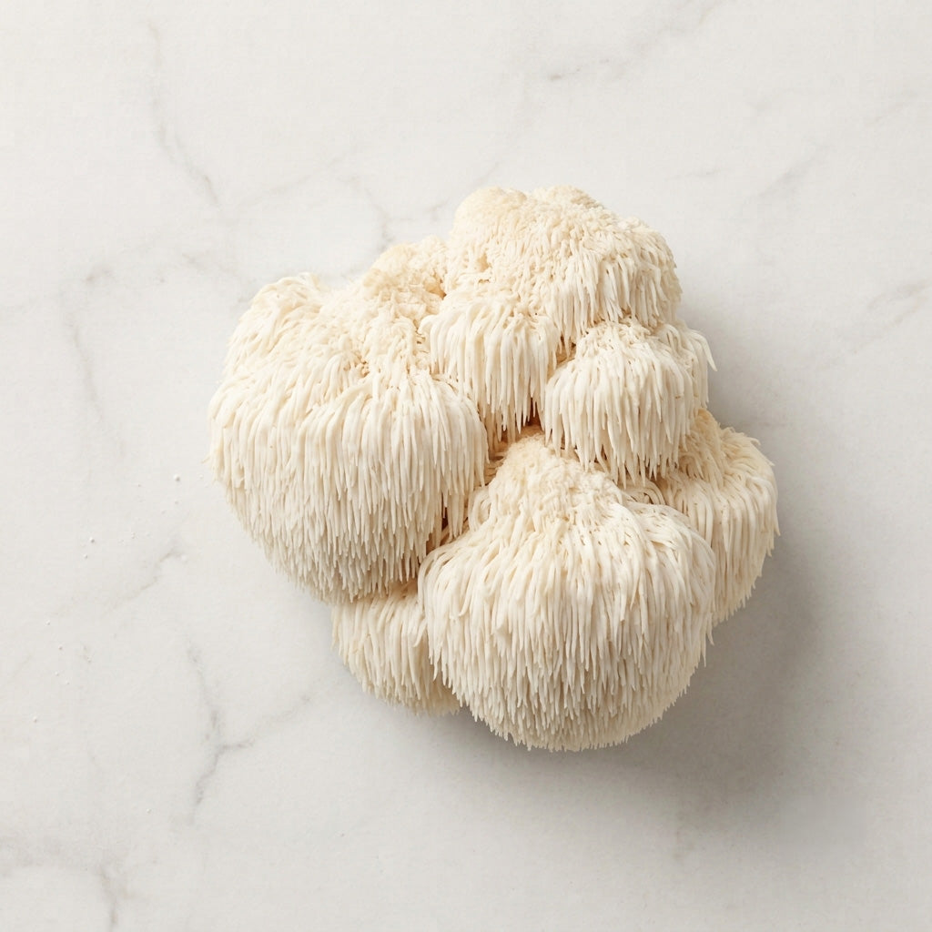 Organic Lion's Mane